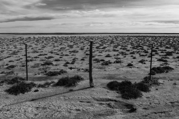 Солоний Ґрунт Напівпустельному Середовищі Провінція Пампа Патагонія Аргентина — стокове фото
