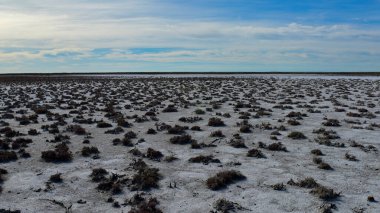 Yarı çöl çevresindeki tuzlu toprak, La Pampa ili, Patagonya, Arjantin.