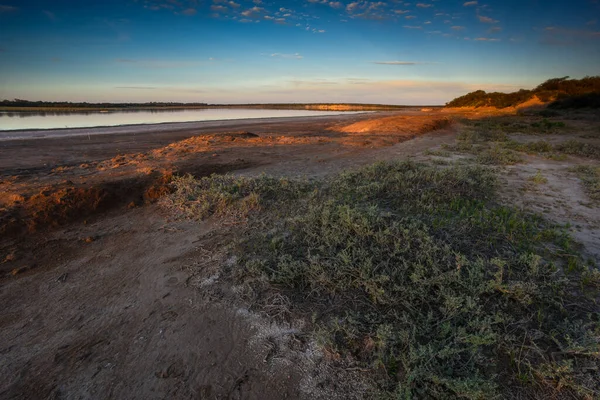 Semi Desert Environment Landcape Pampa Province Patagonia Argentina — Stock fotografie
