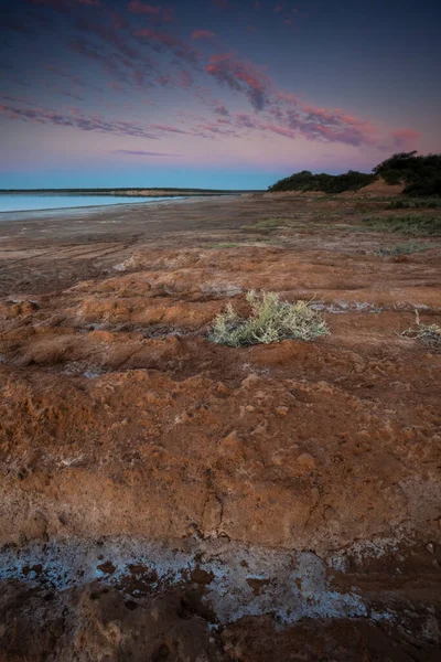 Semi Desert Environment Landcape Pampa Province Patagonia Argentina — стокове фото