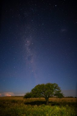 Pampas manzarası gece yıldızlı bir gökyüzü ile çekildi, La Pampa vilayeti, Patagonya, Arjantin.
