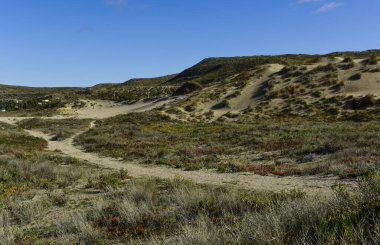 Alacakaranlıkta Yarımada Valdes 'teki kıyı manzarası, Dünya Mirası Bölgesi, Patagonya Arjantin