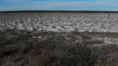 Yarı çöl çevresindeki tuzlu toprak, La Pampa ili, Patagonya, Arjantin.