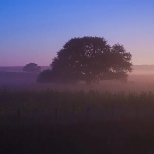 Schöner Sonnenaufgang Morgennebel Ländlichen Raum Ländliche Szenerie — Stockfoto