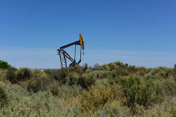 Pumpen Zur Ölförderung Patagonien Argentinien — Stockfoto