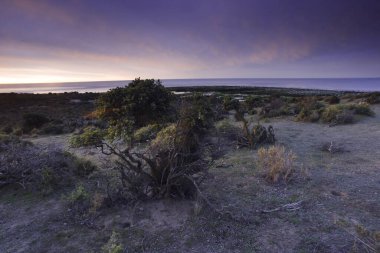 Alacakaranlıkta Yarımada Valdes 'teki kıyı manzarası, Dünya Mirası Bölgesi, Patagonya Arjantin