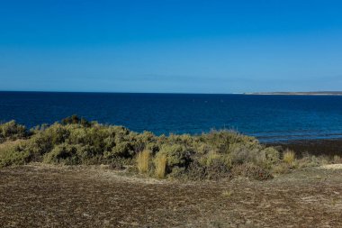Peninsula Valdes, Dünya Mirası, Patagonya, Arjantin 'deki Low Tide kıyı manzarası