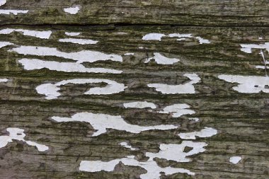 Çatlak boyalı eski bir ahşabın ayrıntıları