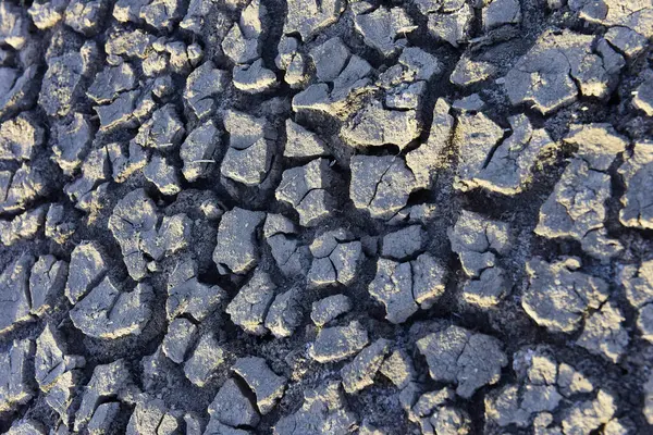 阿根廷拉潘帕沙漠破碎的地面格局 — 图库照片