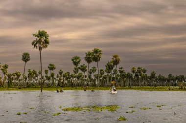 La Estrella Marsh, Formosa, Arjantin 'deki Palms arazisindeki turistler.