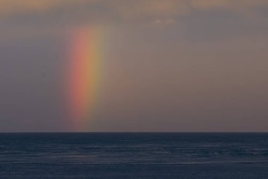 Peninsula Valdes, Dünya Mirası, Patagonya, Arjantin 'deki Low Tide kıyı manzarası