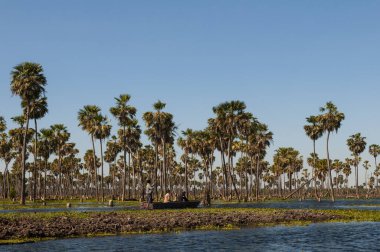 La Estrella Marsh, Formosa, Arjantin 'deki Palms arazisindeki turistler.