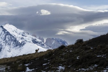 Dağ manzarası, Torres del Paine Ulusal Parkı, Patagonya, Şili.