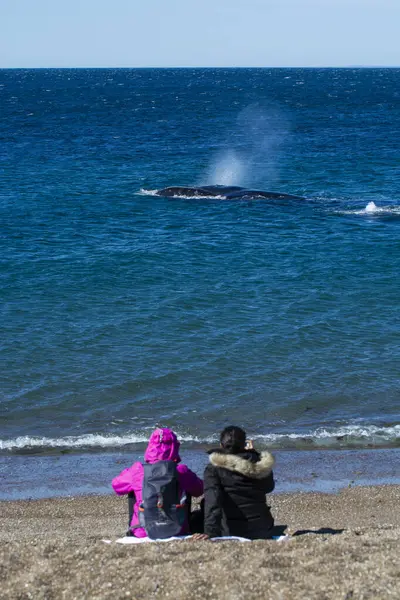 Tourists Watching Whales Observation Coast — Stock Photo, Image