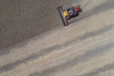 Arjantin kırsalında buğday hasadı, La Pampa Eyaleti.