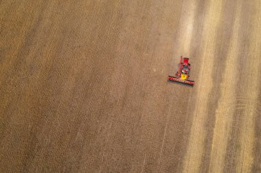 Arjantin kırsalında buğday hasadı, La Pampa Eyaleti.