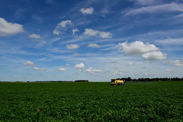 阿根廷布宜诺斯艾利斯省农村地区的大豆作物田 — 图库照片