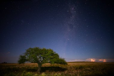 Pampas manzarası gece yıldızlı bir gökyüzü ile çekildi, La Pampa vilayeti, Patagonya, Arjantin.