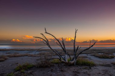 Çöl manzarası, Arjantin 'in La Pampa bölgesindeki bir Pampas gölünde kurumuş toprak..
