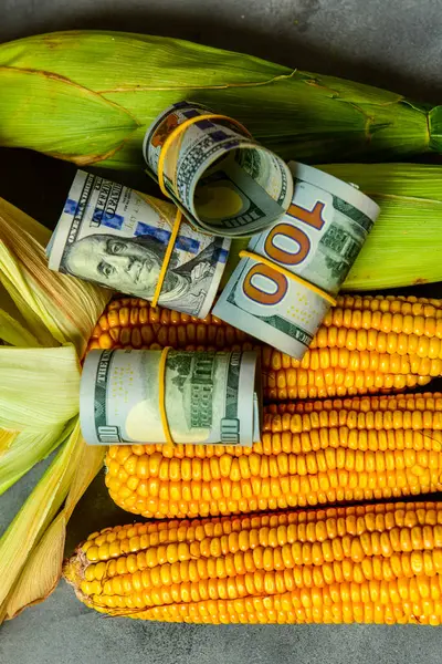 Доллары Кукурузные Зерна Концепция Торговли Зерном Сельскохозяйственный Бизнес — стоковое фото