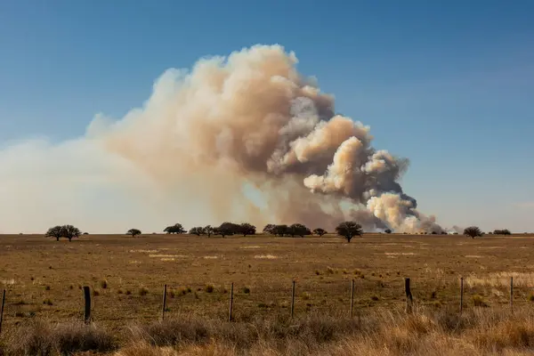 Grassland Fire Pampa Province Patagonia Argentina — Stock Photo, Image