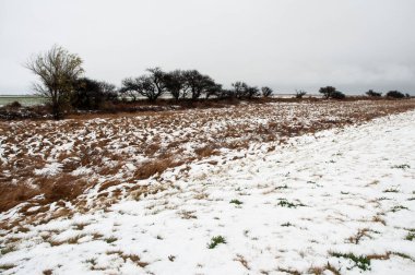 La Pampa, Patagonya, Arjantin kırsal kesimlerinde karlı manzara.