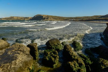 Yarımada Valdes kıyıları, Dünya Mirası Alanı, Patagonya