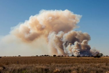 Grassland fire in La Pampa Province, Patagonia, Argentina. clipart