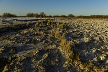 Saline landscape in Peninsula Valdes, Chubut Province, Patagonia Argentina.