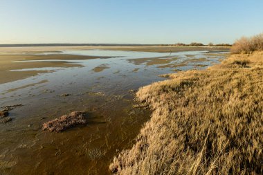 Saline landscape in Peninsula Valdes, Chubut Province, Patagonia Argentina.