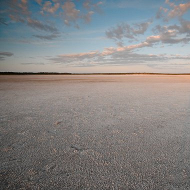 Çöl çevresi, La Pampa ili, Patagonya, Arjantin.