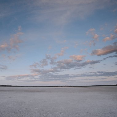 Çöl çevresi, La Pampa ili, Patagonya, Arjantin.