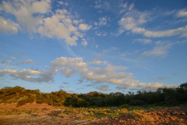 Çöl çevresi, La Pampa ili, Patagonya, Arjantin.