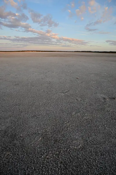 stock image Desert environment landcape, La Pampa province, Patagonia, Argentina.