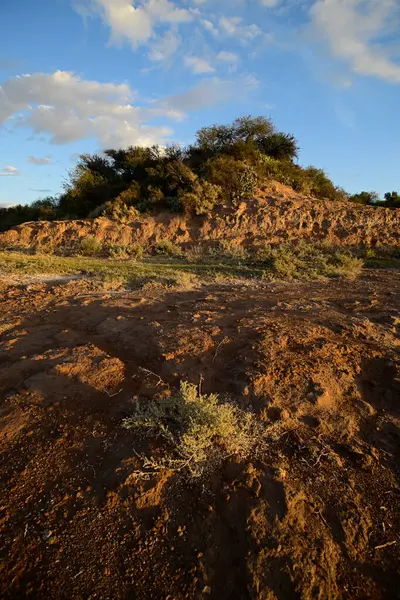 stock image Desert environment landcape, La Pampa province, Patagonia, Argentina.