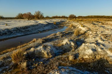 Saline landscape in Peninsula Valdes, Chubut Province, Patagonia Argentina.