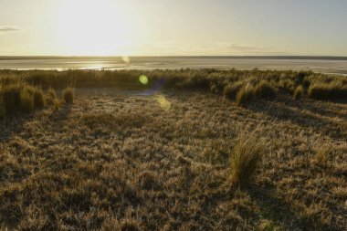 Saline landscape in Peninsula Valdes, Chubut Province, Patagonia Argentina.