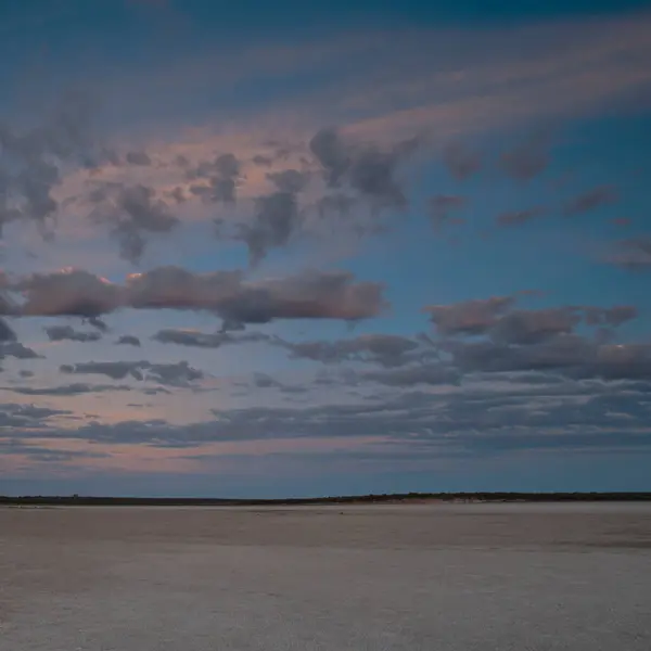 stock image Desert environment landcape, La Pampa province, Patagonia, Argentina.