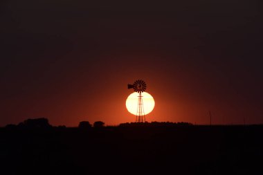 Pampas kırsalında Orange Sunset, La Pampa Eyaleti, Patagoni