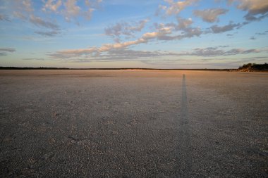 Desert environment landcape, La Pampa province, Patagonia, Argentina. clipart