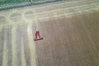 Arjantin kırsalında hasat makinesi, La Pampa Eyaleti.