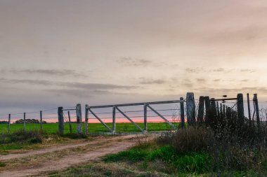 Pampas kırsalındaki geçit, Buenos Aires bölgesi, Patagonya, Arjantin.