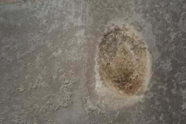 Kuru salin lagünü ortamı, La Pampa Eyaleti, Patagonya, Arjantin.