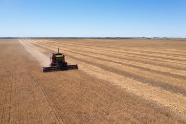 Arjantin kırsalında hasat makinesi, La Pampa Eyaleti.