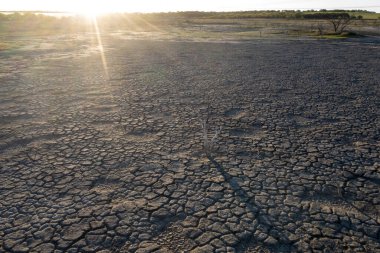 Kuru salin lagünü ortamı, La Pampa Eyaleti, Patagonya, Arjantin.
