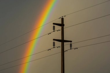 Fırtına gökkuşağı manzarasında elektrik hattı, La Pampa Eyaleti, Patagonya, Arjantin.