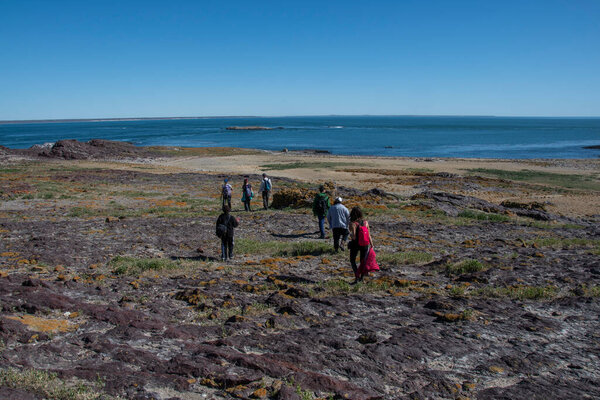 Tourists observing the wild nature, Puerto Deseado Nature Reserve, Santa Cruz Province, Patagonia Argentina.