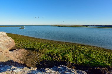 Puerto Deseado Ria, gelgit, Puerto Deseado Doğa Koruma Alanı, Santa Cruz Eyaleti, Patagonya, Arjantin.