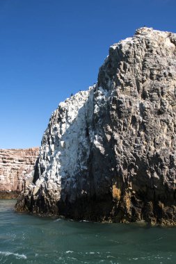 Ria de Puesto Deseado Doğa Koruma Alanı, Santa Cruz Eyaleti, Patagonya, Arjantin.