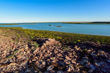 Puerto Deseado Ria, gelgit, Puerto Deseado Doğa Koruma Alanı, Santa Cruz Eyaleti, Patagonya, Arjantin.